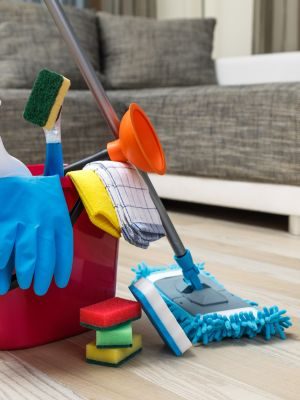 Cleaning Services